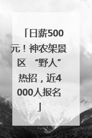 日薪500元！神农架景区 “野人” 热招，近4000人报名