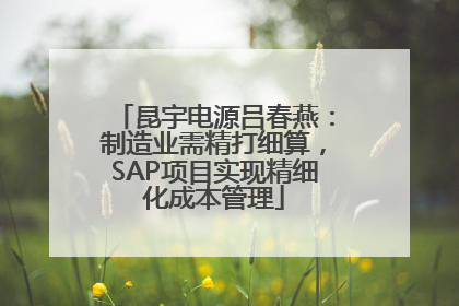 昆宇电源吕春燕：制造业需精打细算，SAP项目实现精细化成本管理