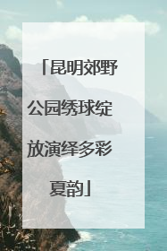 昆明郊野公园绣球绽放演绎多彩夏韵