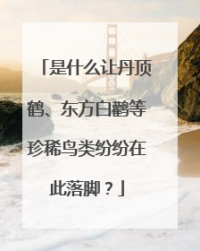 是什么让丹顶鹤、东方白鹳等珍稀鸟类纷纷在此落脚？