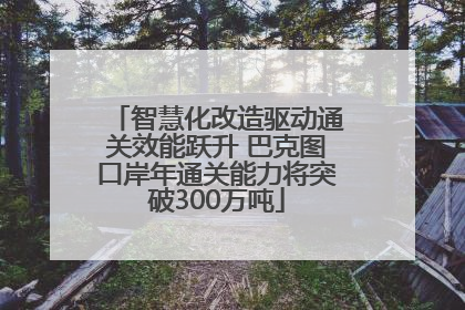 智慧化改造驱动通关效能跃升 巴克图口岸年通关能力将突破300万吨