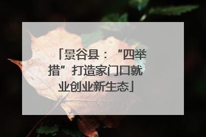 景谷县：“四举措”打造家门口就业创业新生态