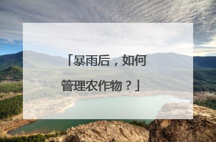 暴雨后，如何管理农作物？