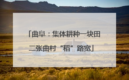 曲阜：集体耕种一块田 二张曲村“稻”路宽