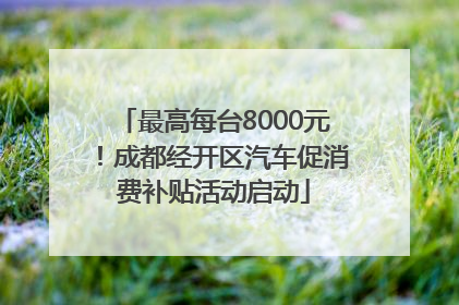 最高每台8000元！成都经开区汽车促消费补贴活动启动