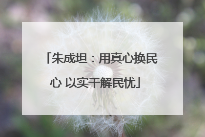 朱成坦：用真心换民心 以实干解民忧