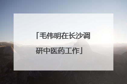 毛伟明在长沙调研中医药工作