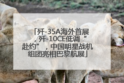 歼-35A海外首展，歼-10CE低调“赴约”，中国明星战机组团亮相巴黎航展