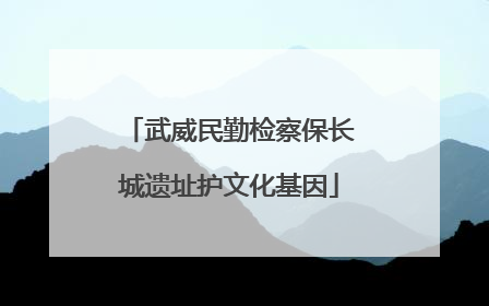 武威民勤检察保长城遗址护文化基因