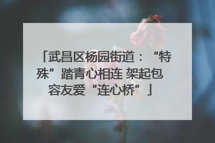 武昌区杨园街道：“特殊”踏青心相连 架起包容友爱“连心桥”