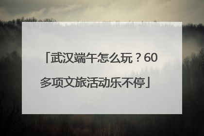 武汉端午怎么玩？60多项文旅活动乐不停