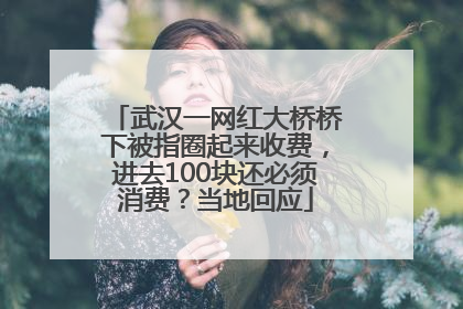 武汉一网红大桥桥下被指圈起来收费，进去100块还必须消费？当地回应