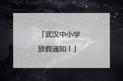 武汉中小学放假通知！