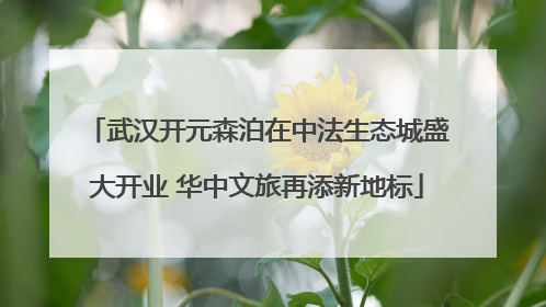 武汉开元森泊在中法生态城盛大开业 华中文旅再添新地标