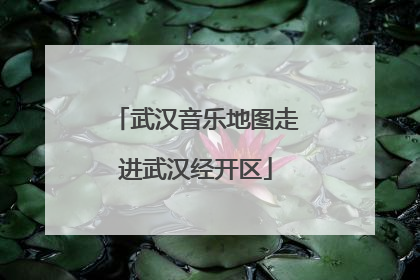 武汉音乐地图走进武汉经开区