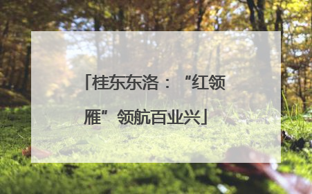桂东东洛：“红领雁”领航百业兴
