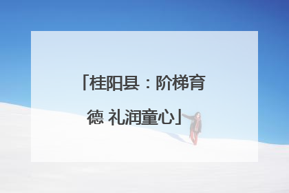 桂阳县：阶梯育德 礼润童心