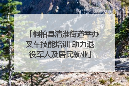 桐柏县清淮街道举办叉车技能培训 助力退役军人及居民就业