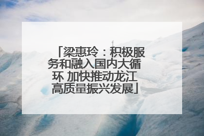 梁惠玲：积极服务和融入国内大循环 加快推动龙江高质量振兴发展