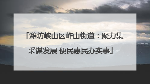潍坊峡山区岞山街道：聚力集采谋发展 便民惠民办实事