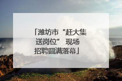 潍坊市“赶大集 送岗位” 现场招聘圆满落幕