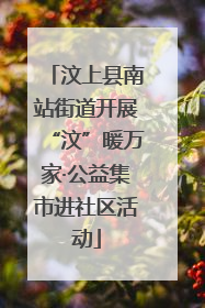 汶上县南站街道开展“汶”暖万家·公益集市进社区活动