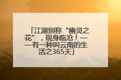 江湖别称“幽灵之花”，现身临沧！——有一种叫云南的生活之365天