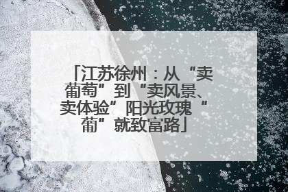 江苏徐州：从“卖葡萄”到“卖风景、卖体验”阳光玫瑰“葡”就致富路