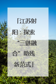 江苏射阳：探索“三链融合”助残新范式