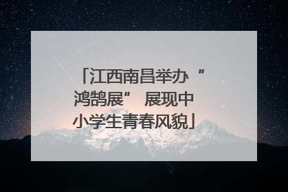 江西南昌举办“鸿鹄展” 展现中小学生青春风貌