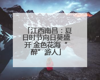 江西南昌：夏日时节向日葵盛开 金色花海“醉”游人