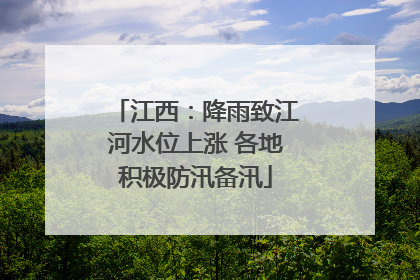 江西：降雨致江河水位上涨 各地积极防汛备汛