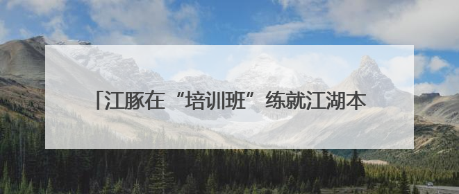 江豚在“培训班”练就江湖本领，外国代表想复制技术回国