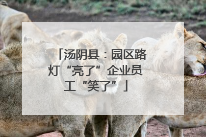 汤阴县：园区路灯“亮了”企业员工“笑了”
