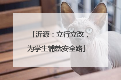 沂源：立行立改，为学生铺就安全路