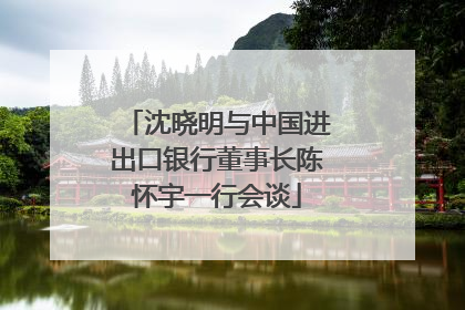 沈晓明与中国进出口银行董事长陈怀宇一行会谈