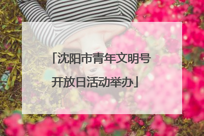 沈阳市青年文明号开放日活动举办