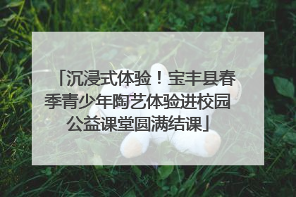 沉浸式体验！宝丰县春季青少年陶艺体验进校园公益课堂圆满结课