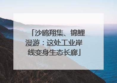 沙鸥翔集、锦鲤漫游：这处工业岸线变身生态长廊