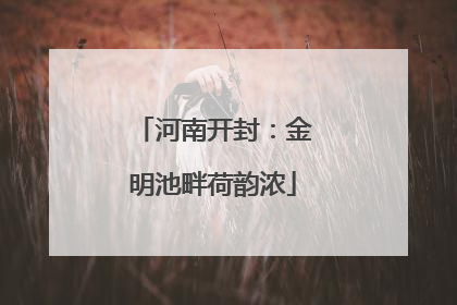 河南开封：金明池畔荷韵浓