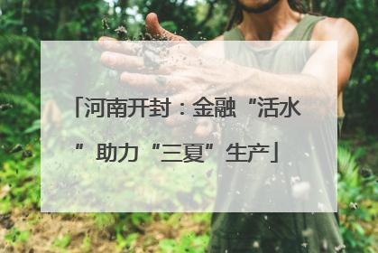 河南开封：金融“活水”助力“三夏”生产
