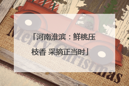 河南淮滨：鲜桃压枝香 采摘正当时