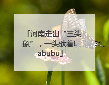 河南走出“三头象”，一头驮着Labubu