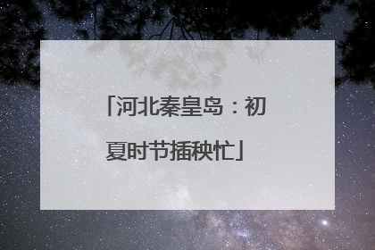 河北秦皇岛：初夏时节插秧忙