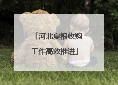 河北夏粮收购工作高效推进