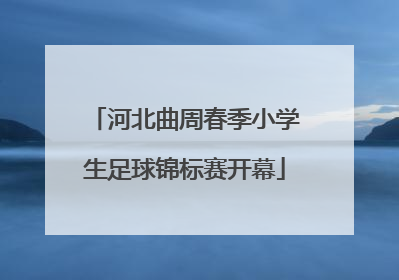 河北曲周春季小学生足球锦标赛开幕