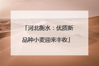 河北衡水：优质新品种小麦迎来丰收