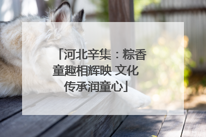 河北辛集：粽香童趣相辉映 文化传承润童心