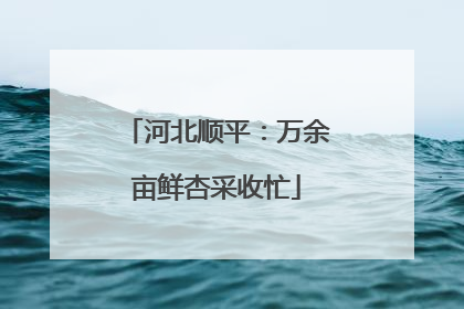 河北顺平：万余亩鲜杏采收忙