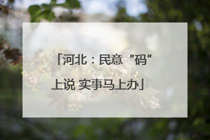 河北：民意“码”上说 实事马上办